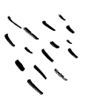 Orbilox digital marketing