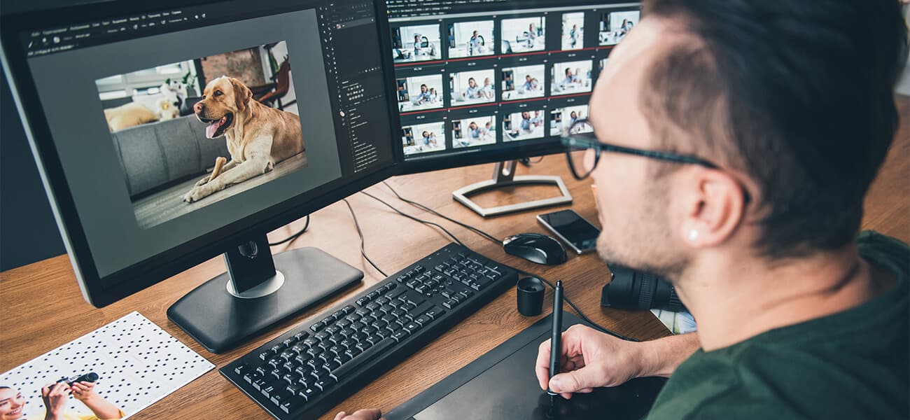 Motion Graphics Services